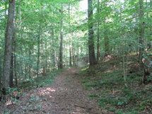 Photo of Long Demonstration Trail
